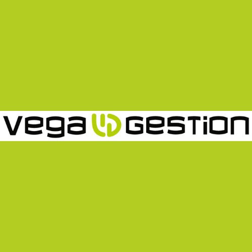 Vegagestion